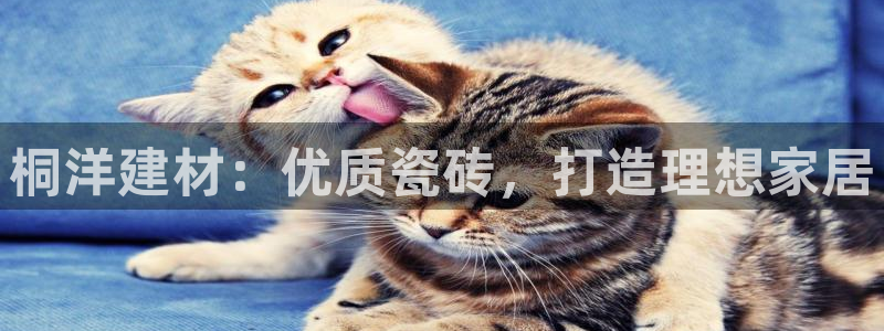 杏鑫平台正规吗