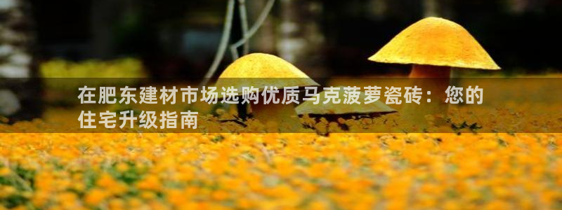 杏鑫娱乐平台