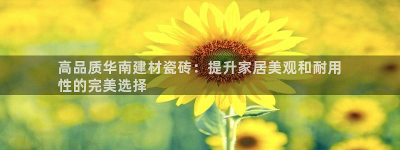 杏鑫平台代理注册流程及费用