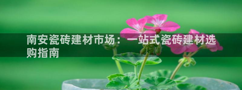 杏鑫平台招商电话号码查询