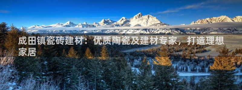 杏鑫平台野马联盟怎么样