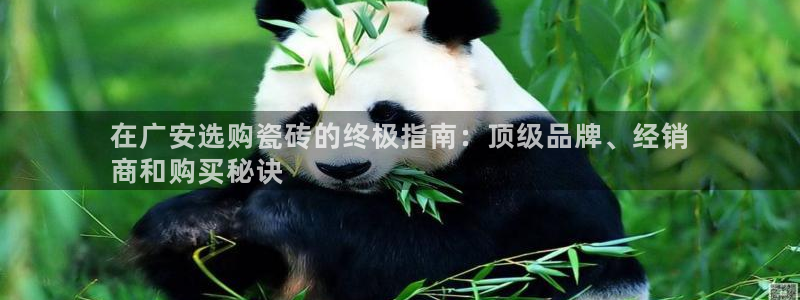 杏鑫平台注册入口在哪