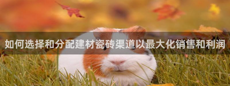杏鑫平台念7O777