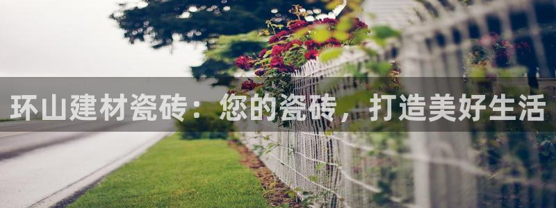 杏鑫平台下载安装