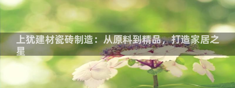 杏鑫平台代理注册流程