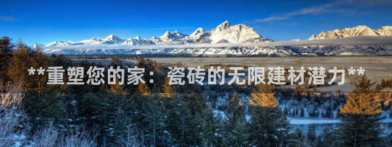杏鑫娱乐官方网站客户端