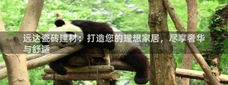 杏鑫注册平台官方网站