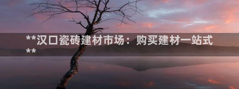 杏鑫官方app代理