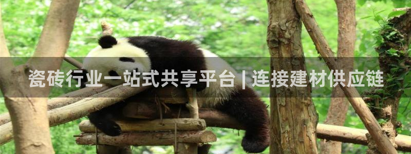 杏鑫平台代理注册登录不了怎么办呀视频