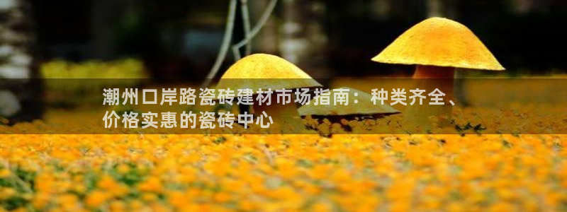 杏鑫登录注册测速