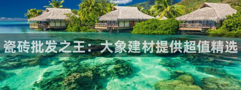 杏鑫注册平台官方网站