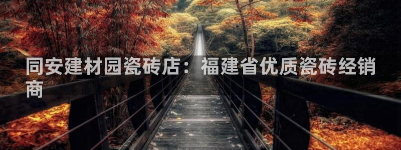 杏鑫平台代理怎么做的