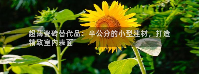 杏鑫平台代理怎么做赚钱