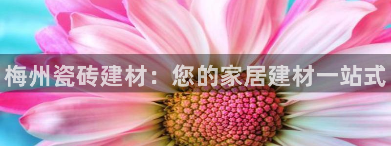 杏鑫平台直属哪个公司