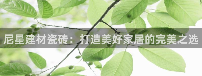 杏鑫平台招商电话
