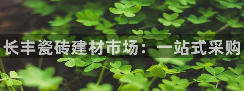 杏鑫平台是黑平台吗