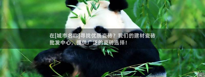 杏鑫娱乐开发团队