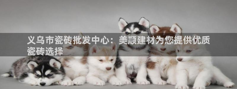 杏鑫平台招商电话号码