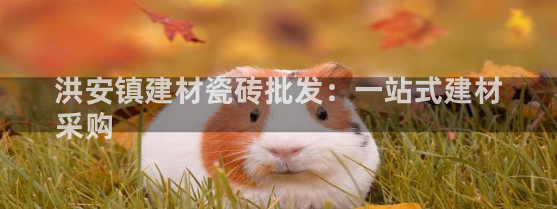 杏鑫娱乐怎么下