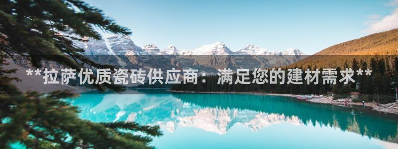 杏鑫平台注册入口在哪