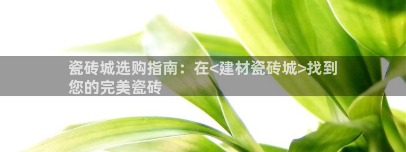 杏鑫官网注册账号密码忘了