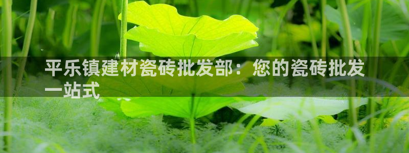 杏鑫平台招商电话号码