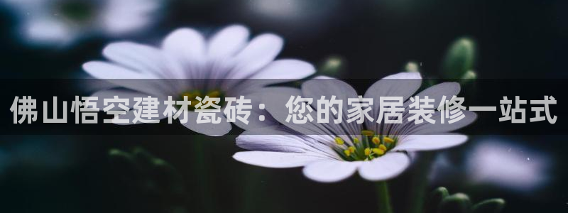 杏鑫官方平台怎么样啊可靠吗