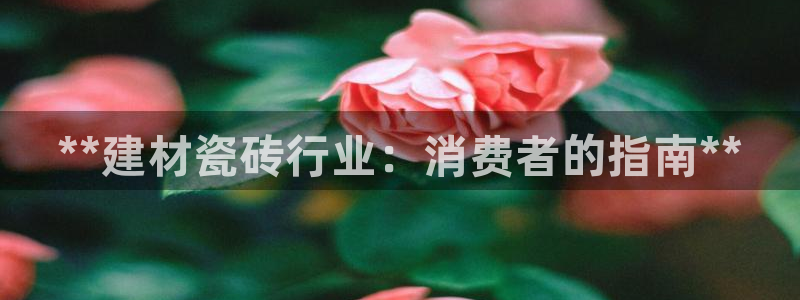 杏鑫娱乐官网登录