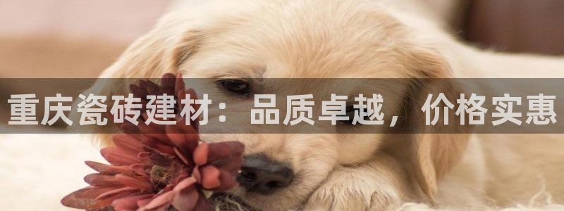 杏鑫平台怎么样黑钱吗是真的吗吗