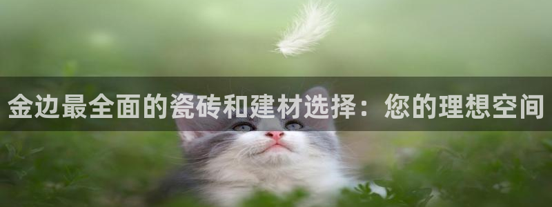 杏鑫平台是黑平台吗