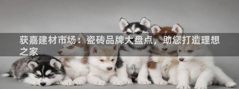 杏鑫平台在线注册流程