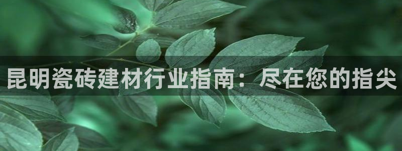 杏鑫平台怎么样黑钱吗安全吗是真的吗