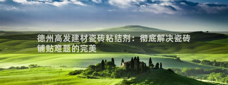 杏鑫手机客户端怎么下载