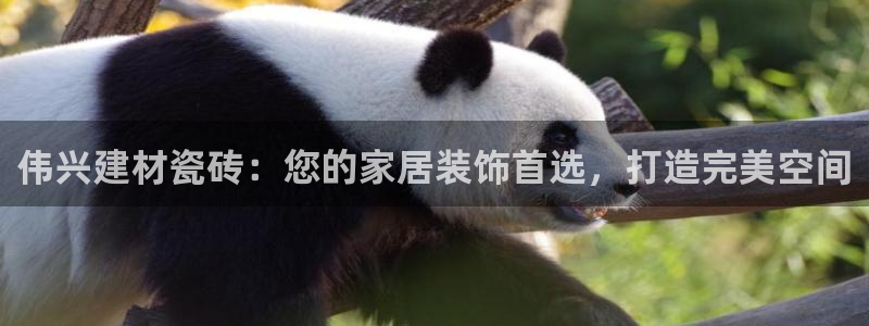 杏鑫娱乐是合法的吗?