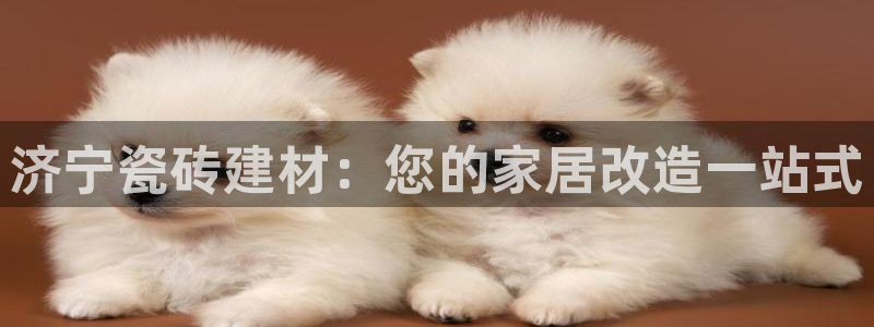 杏鑫平台代理注册流程及费用