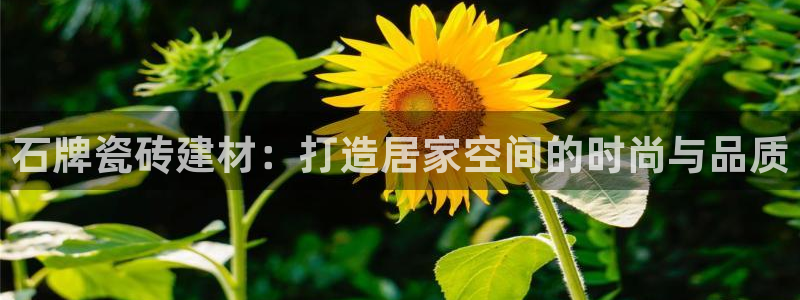 杏鑫娱乐官网首页