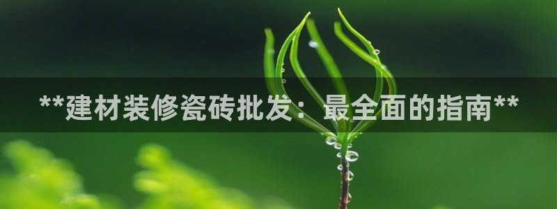 杏鑫娱乐负责人