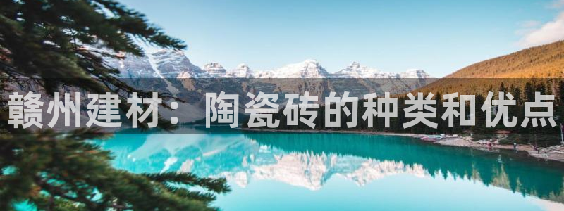 杏鑫平台招商电话号码