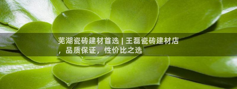 杏鑫平台是黑平台吗