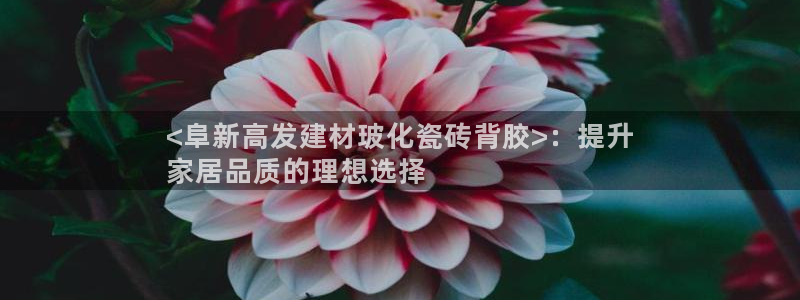 杏鑫娱乐是真的吗
