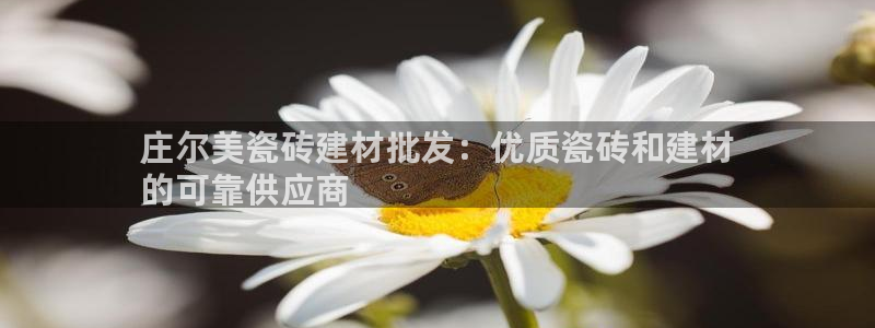 杏鑫平台招商怎么样啊