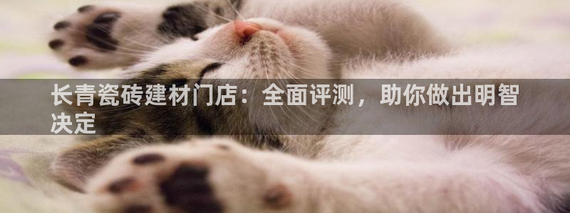 杏鑫娱乐开发团队