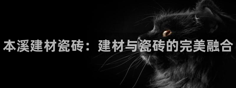 杏鑫平台号7O777