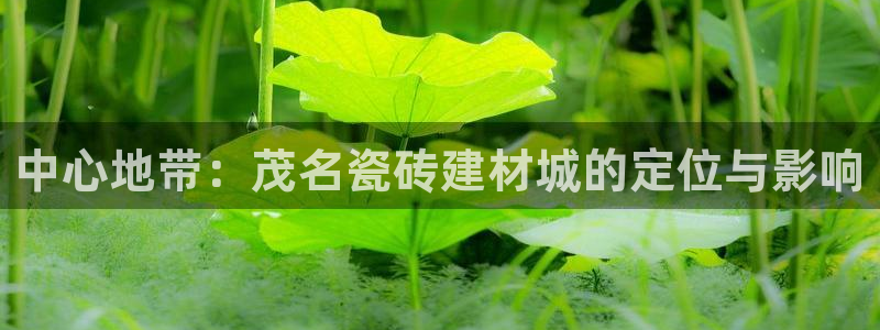 杏鑫平台怎么样黑钱吗