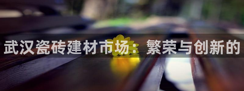 杏鑫平台代理注册