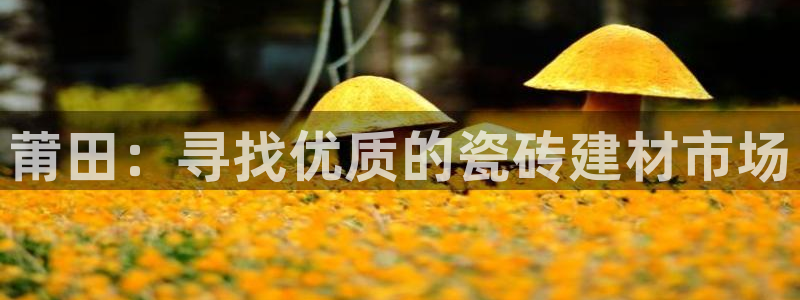 杏鑫平台正规吗