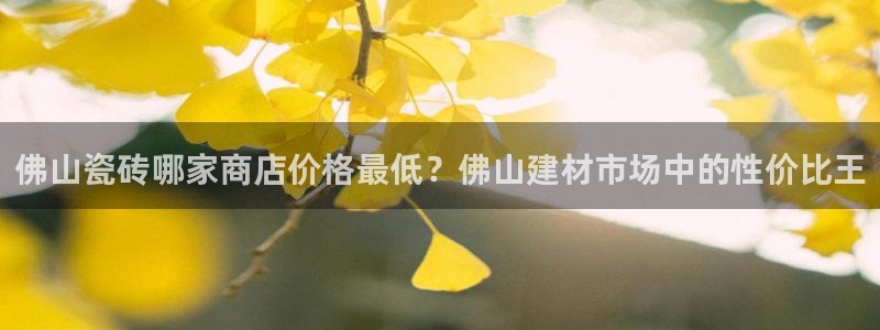 杏鑫注册登录代理公司