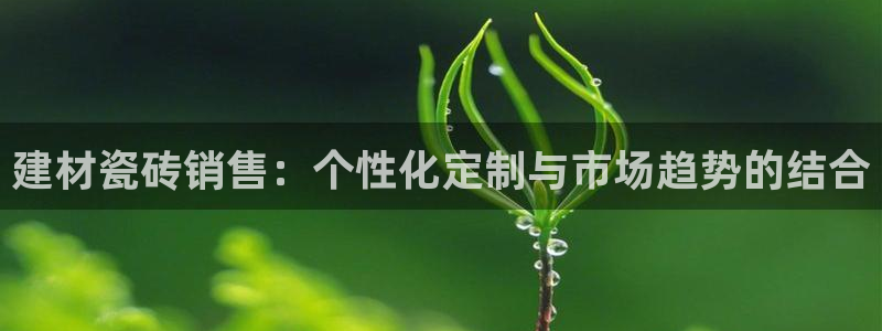 杏鑫官网注册账号密码是什么