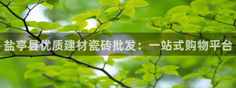 杏鑫注册登录网址是什么
