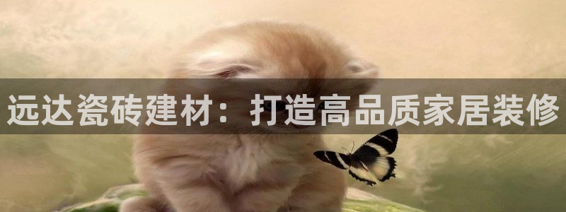 杏鑫平台招商怎么样